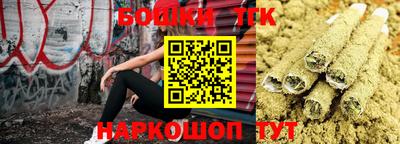 дживик Кунгур