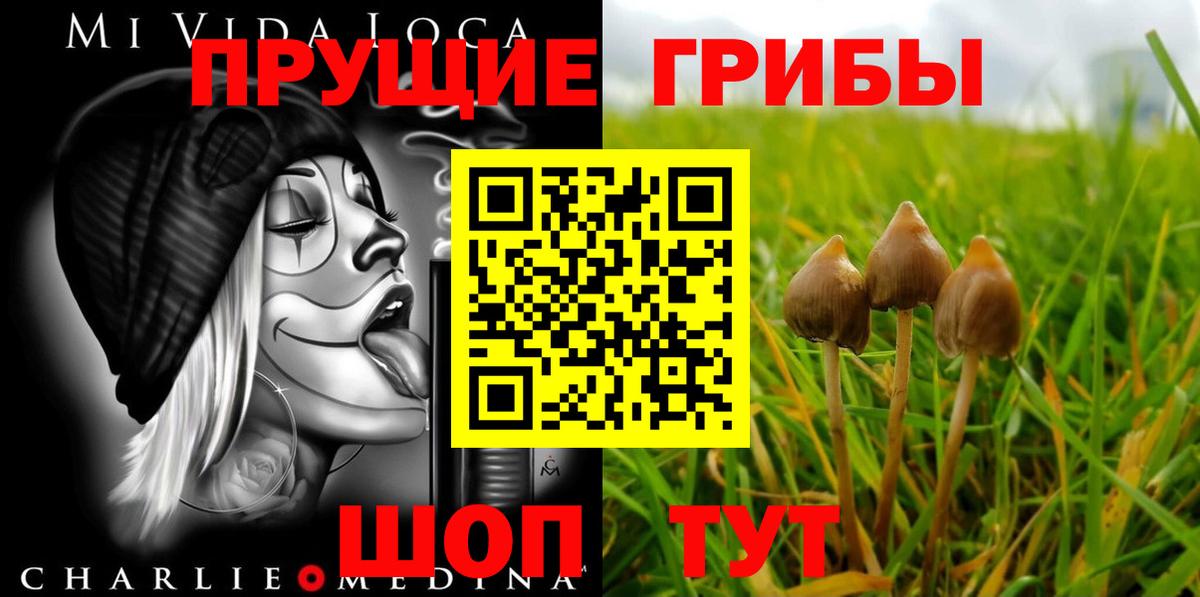 Псилоцибиновые грибы мицелий Шатура
