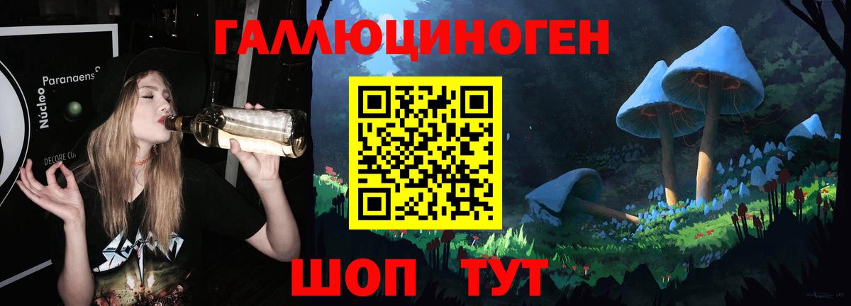 Псилоцибиновые грибы мицелий  Вход с VPN  Шатура 